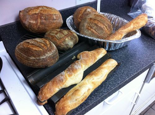 Flour Water Salt Yeast: The Fundamentals of Artisan Bread and Pizza [A Cookbook] customer photo 1
