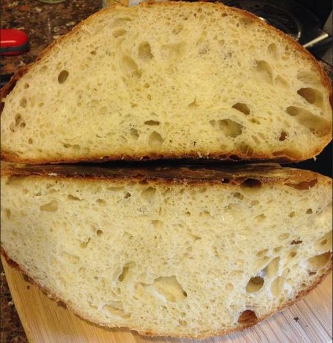 Flour Water Salt Yeast: The Fundamentals of Artisan Bread and Pizza [A Cookbook] customer photo 2