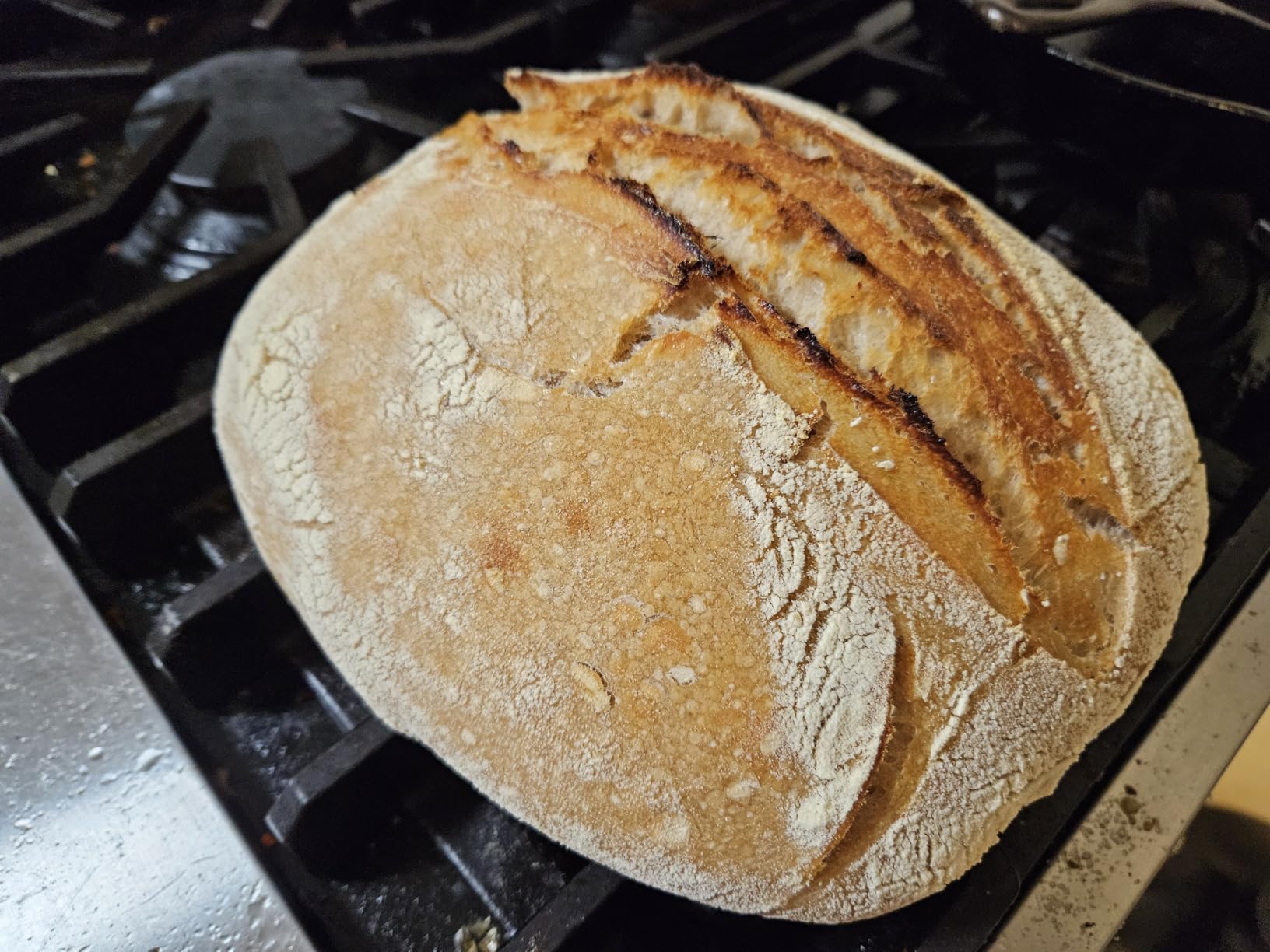 The King Arthur Baking Company Big Book of Bread: 125+ Recipes for Every Baker (A Cookbook) customer photo 1