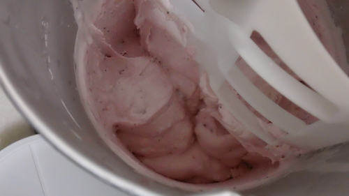 Hamilton Beach Automatic Electric Ice Cream Maker & Frozen Yogurt Machine customer photo 2