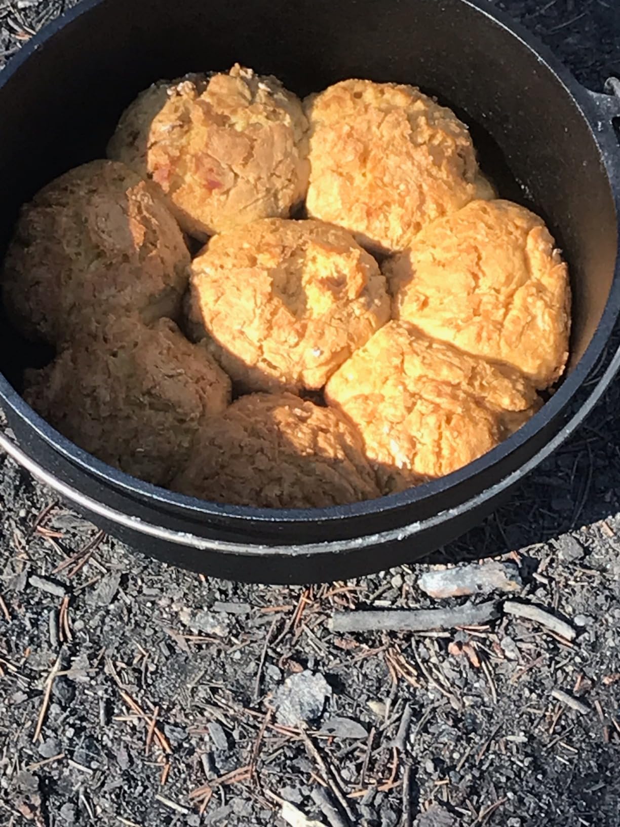 Camp Chef 12 in. Cast Iron Dutch Oven, Pre-Seasoned | Model SDO12, Flanged lid holds coals on top for even heat, Built-in thermometer notch customer photo 1