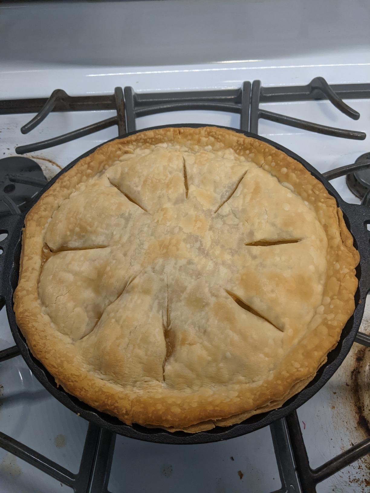 Lodge True Seasoned Cast Iron Pie Pan 10