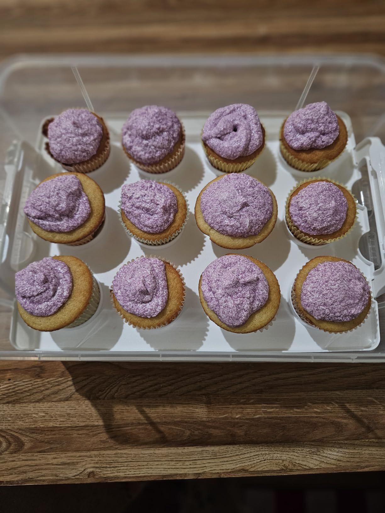 Snapware (2-Layer, 24 Cupcakes Plastic Detachable Cupcake Carrier customer photo 1