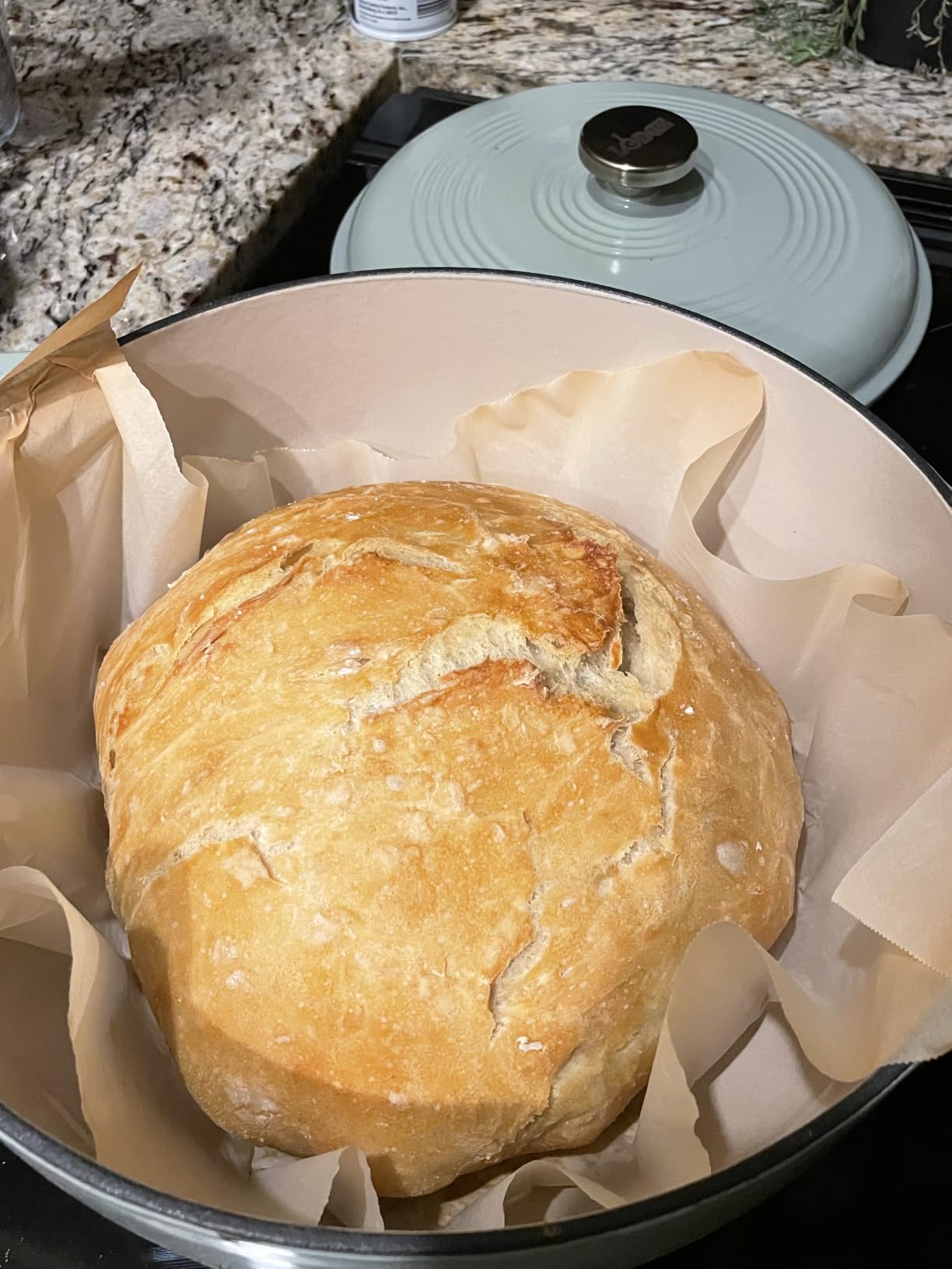 Lodge Essential Enamel Cast Iron Dutch Oven, 6 Quart, Oyster White customer photo 1