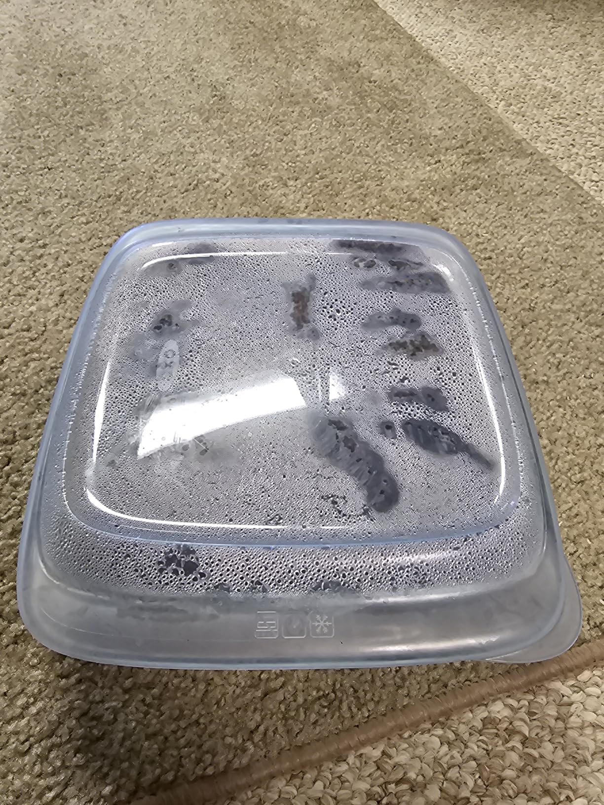 OXO Good Grips Freezer-to-Oven Safe 2 Qt Glass Baking Dish with Lid, 8 x 8 customer photo 2