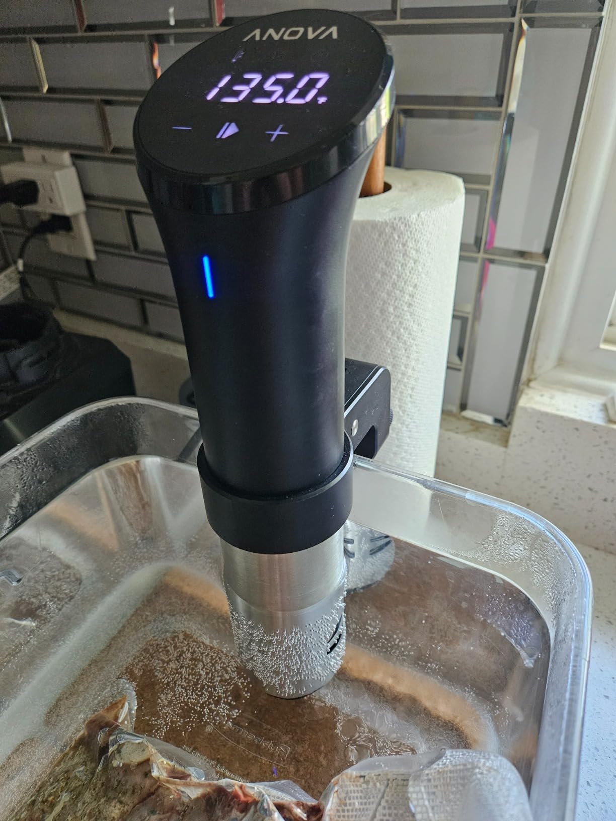 Anova Culinary Sous Vide Precision Cooker 2.0 (WiFi), 1000 Watts customer photo 1