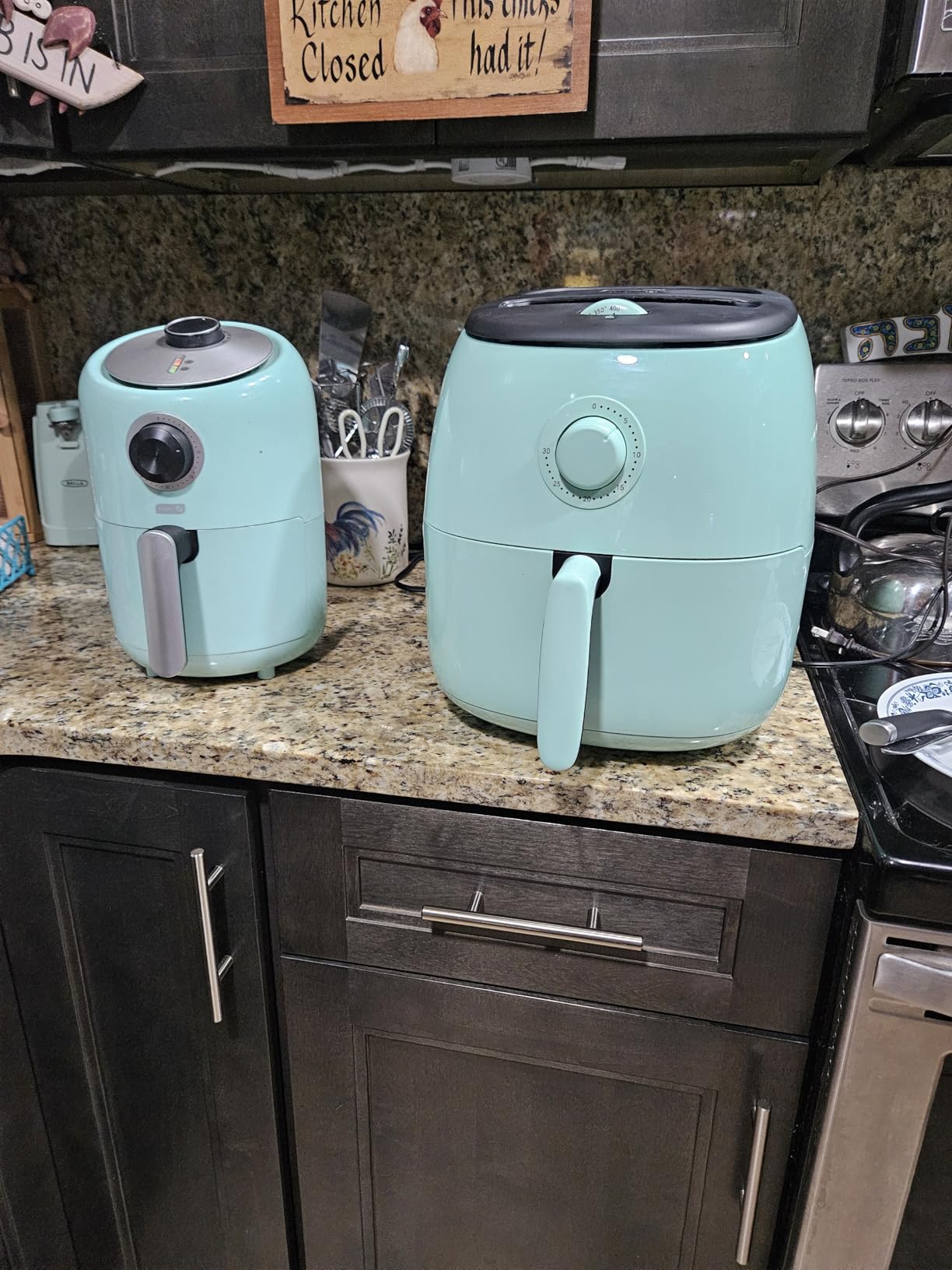 Dash Tasti-Crisp Air Fryer, 2.6 Quart, Aqua | Small Compact Basket Style Air Fryer, One or Two People, Auto Shut Off, Easy Dial Controls, Dishwasher Safe Parts customer photo 1