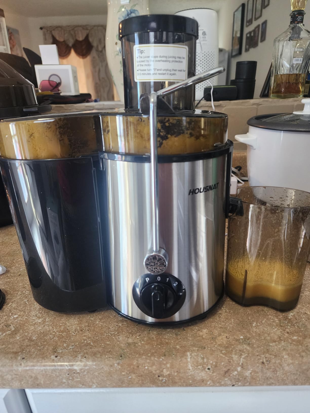 HOUSNAT Juicer Machines for Whole Fruit and Vegetables, 3 Speed Setting customer photo 2