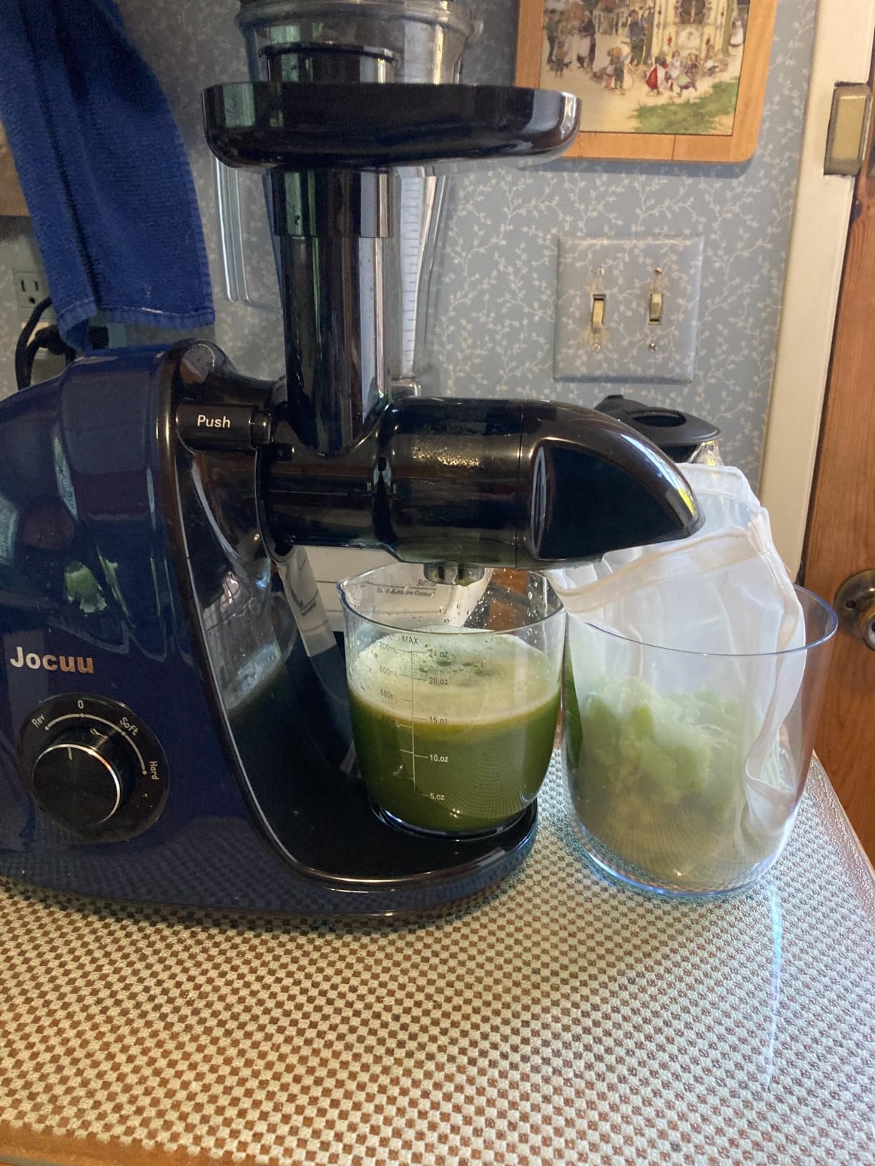 Jocuu Slow Masticating Juicer with 2-Speed Modes - Cold Press Juicer Machine - Quiet Motor & Reverse Function - Easy to Clean Juicer Extractor - Juice Recipes for Fruits & Vegetables (White) customer photo 2