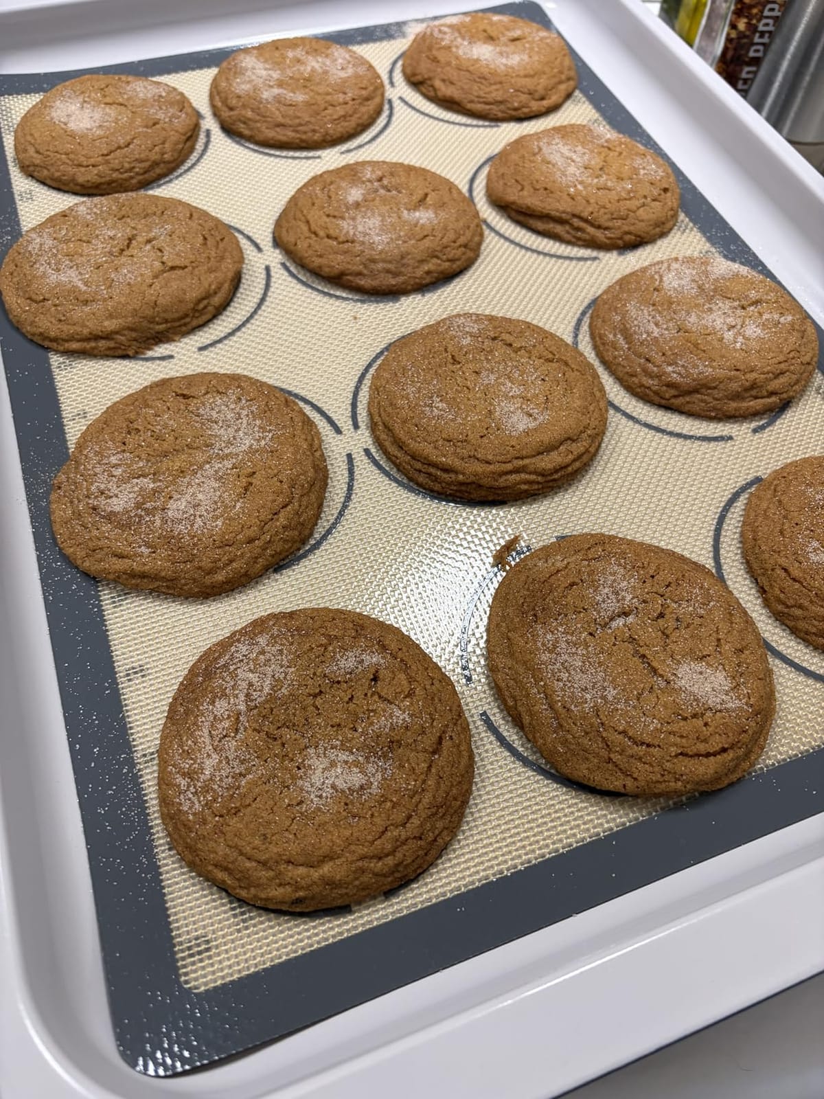 GUANCI Silicone Baking Mat Set of 6, Includes 25