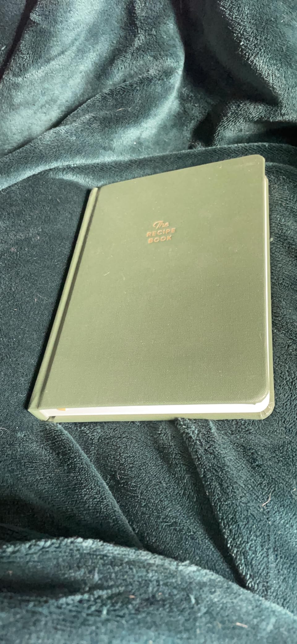 Recipe Notebook, Dark Pine, Hardcover | Keepsake Gift, Blank Recipe Book to Write In Your Own Recipes, Journaling Prompts About the Chef, 100 Recipes customer photo 1