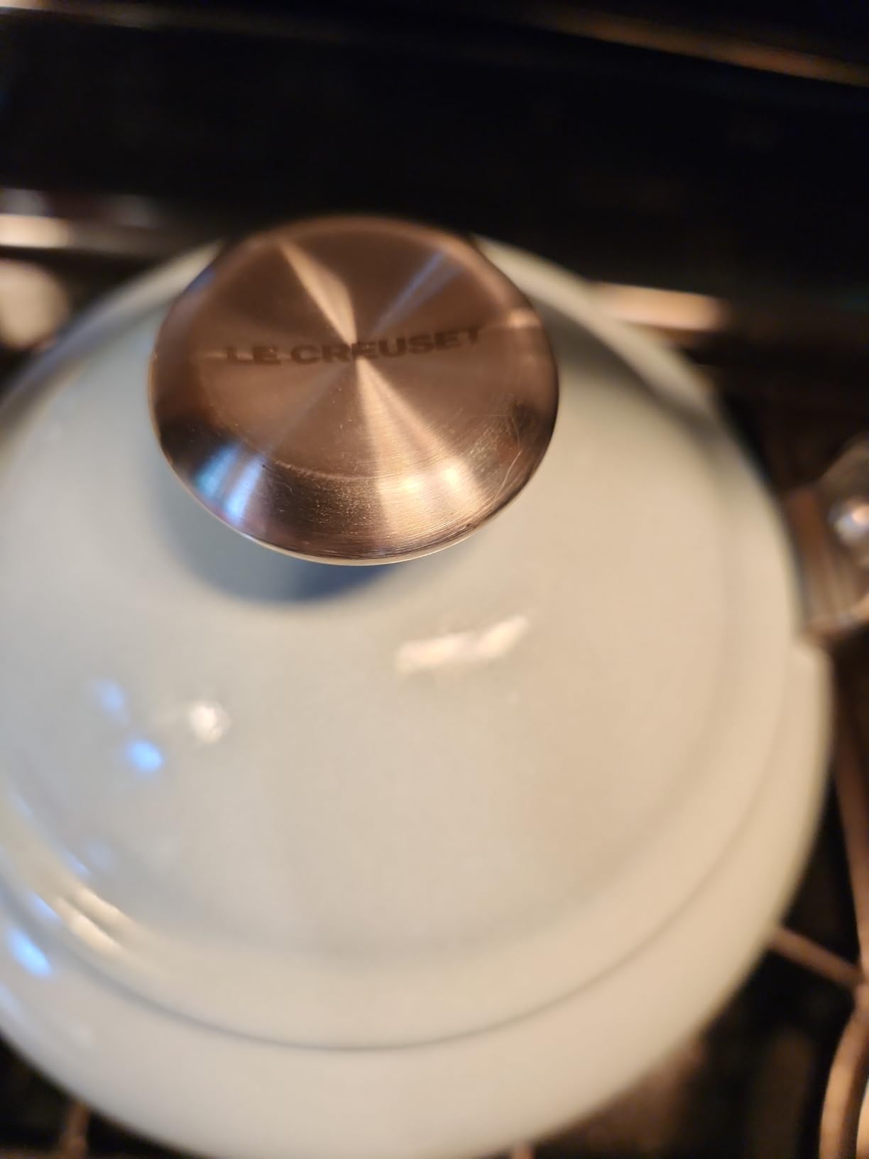 Le Creuset Enamel On Steel Demi Tea Kettle, 1.25 qt., Sea Salt customer photo 1