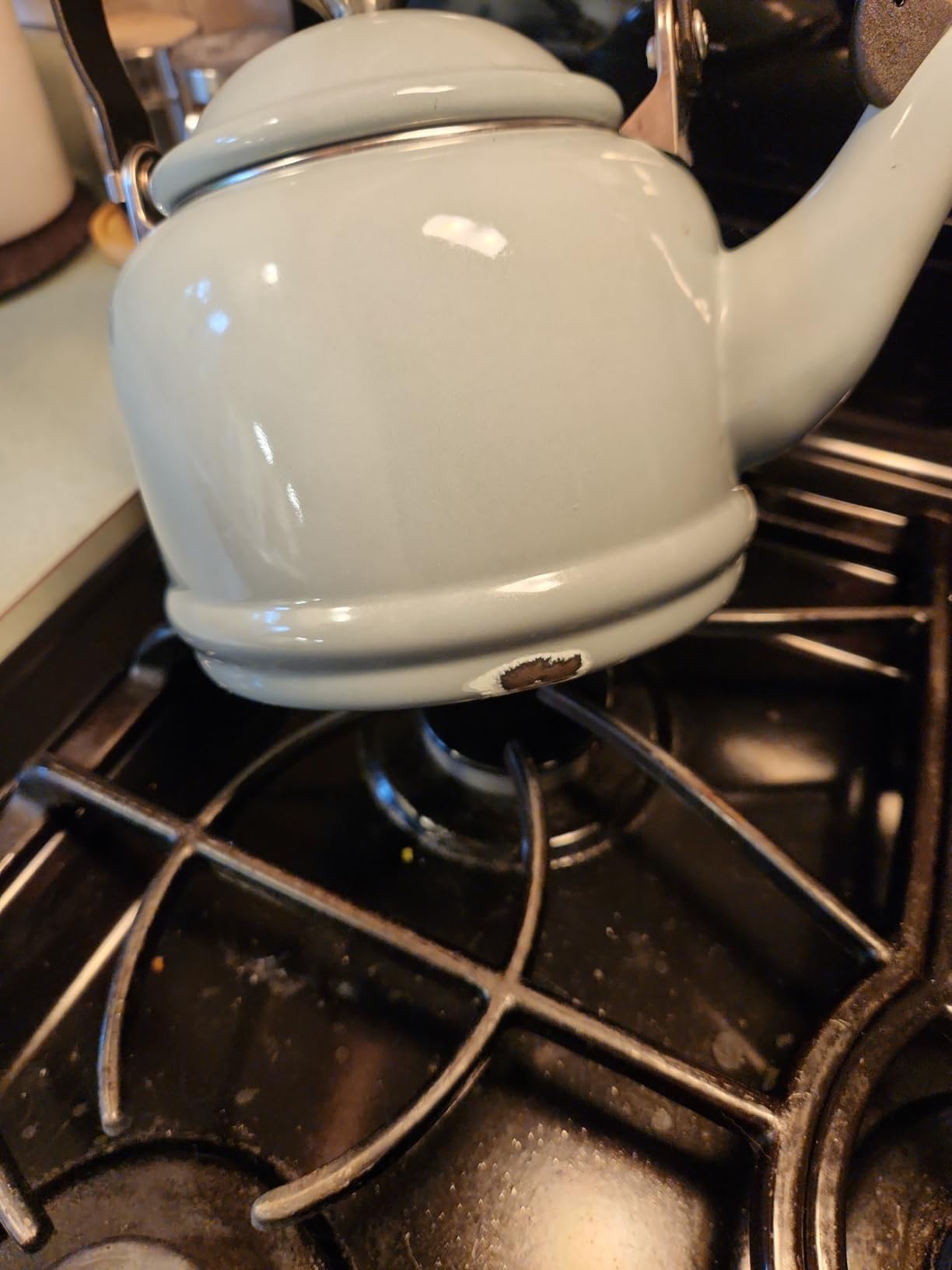 Le Creuset Enamel On Steel Demi Tea Kettle, 1.25 qt., Sea Salt customer photo 2