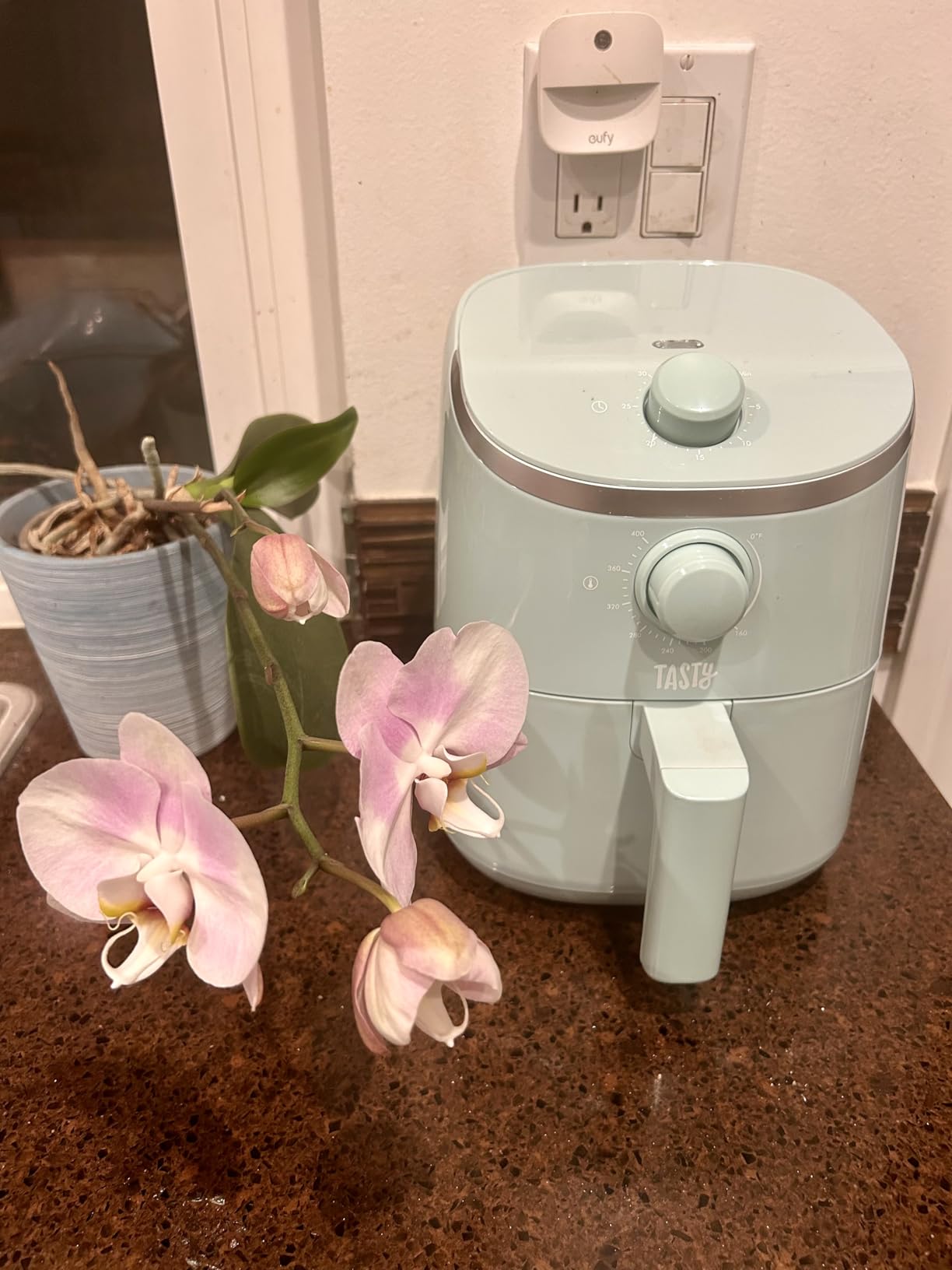 Tasty Personal Air Fryer, Healthier Meals in Minutes, Adjustable Temp Control up to 400°F, Easy-to-Use Design, Nonstick Basket and Tray Made without PFAS, PFOA, PFOS & PTFE, 900 Watts, 2-Quart, Aqua customer photo 1