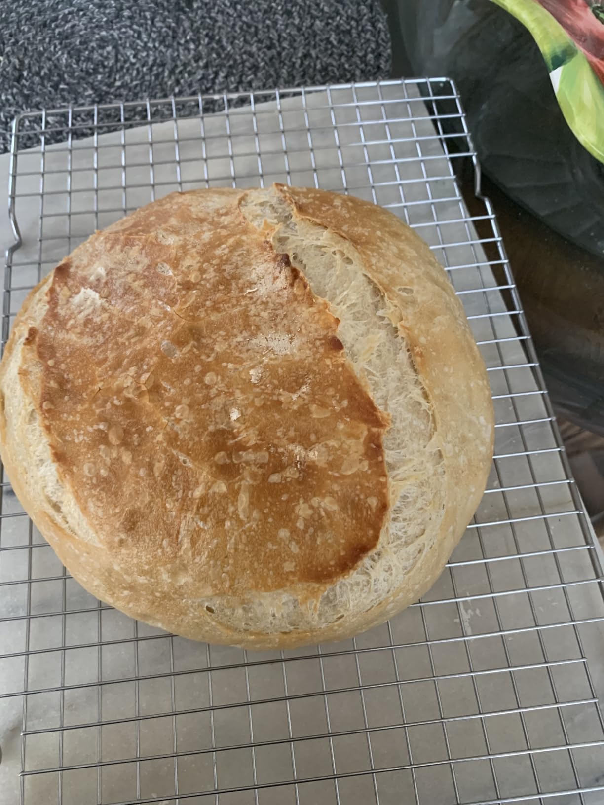 Dimpola Banneton Bread Proofing Basket - 9 inch Banneton Basket Set of 2 Sourdough Proofing Basket Round Proofing Bowls Handmade Rattan Baskets and Liners customer photo 1