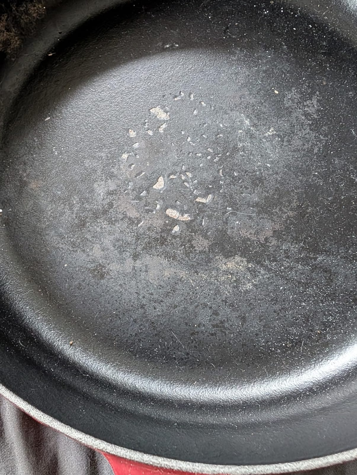 Le Creuset Enameled Cast Iron Signature Everyday Pan, 11