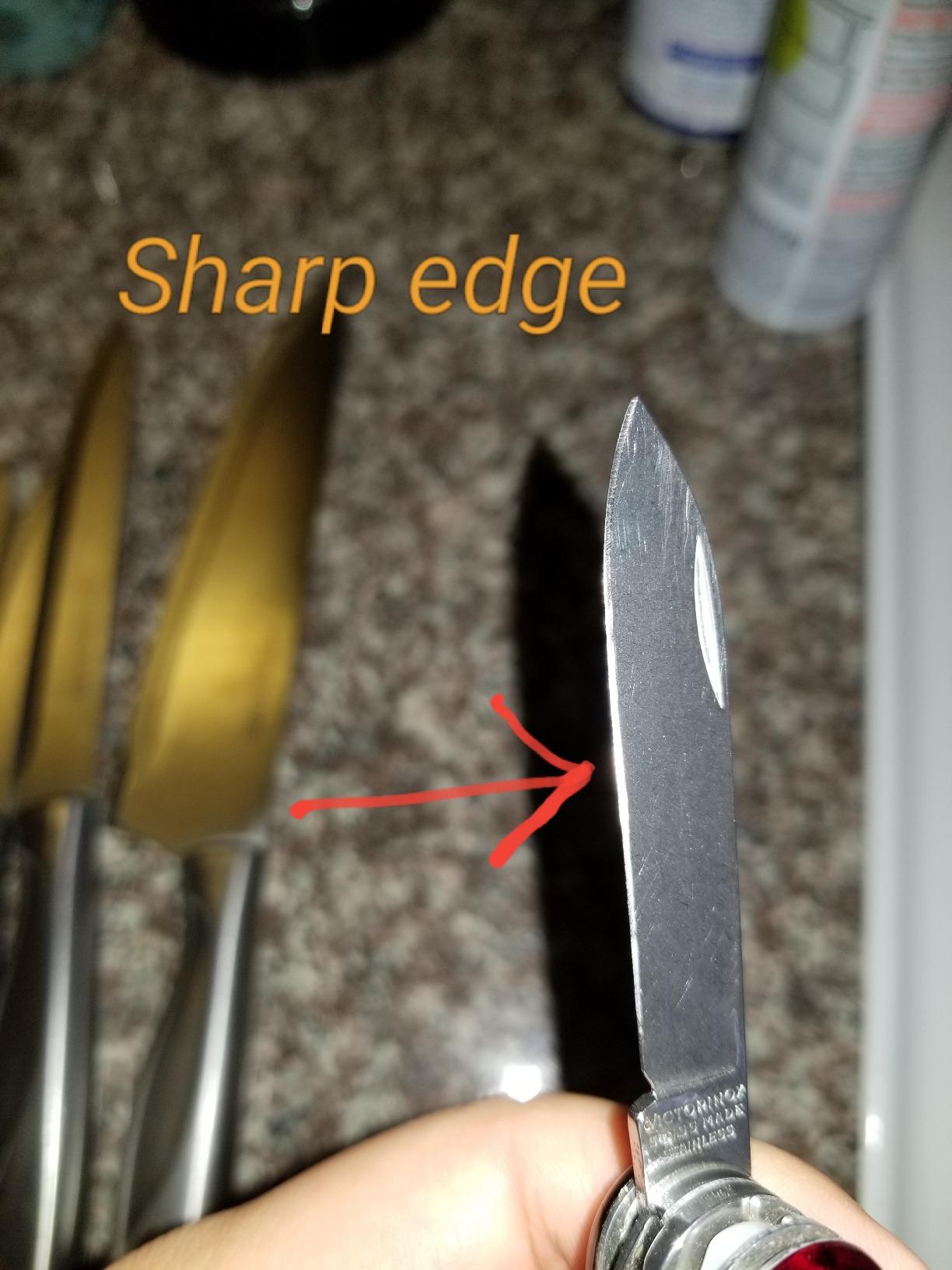 Chef'sChoice Professional Electric Knife Sharpeners With 100-Percent Diamond Abrasives And Precision Angle Guides For 20-Degree Straight-Edge and Serrated Knives, 3-Stage, White customer photo 1