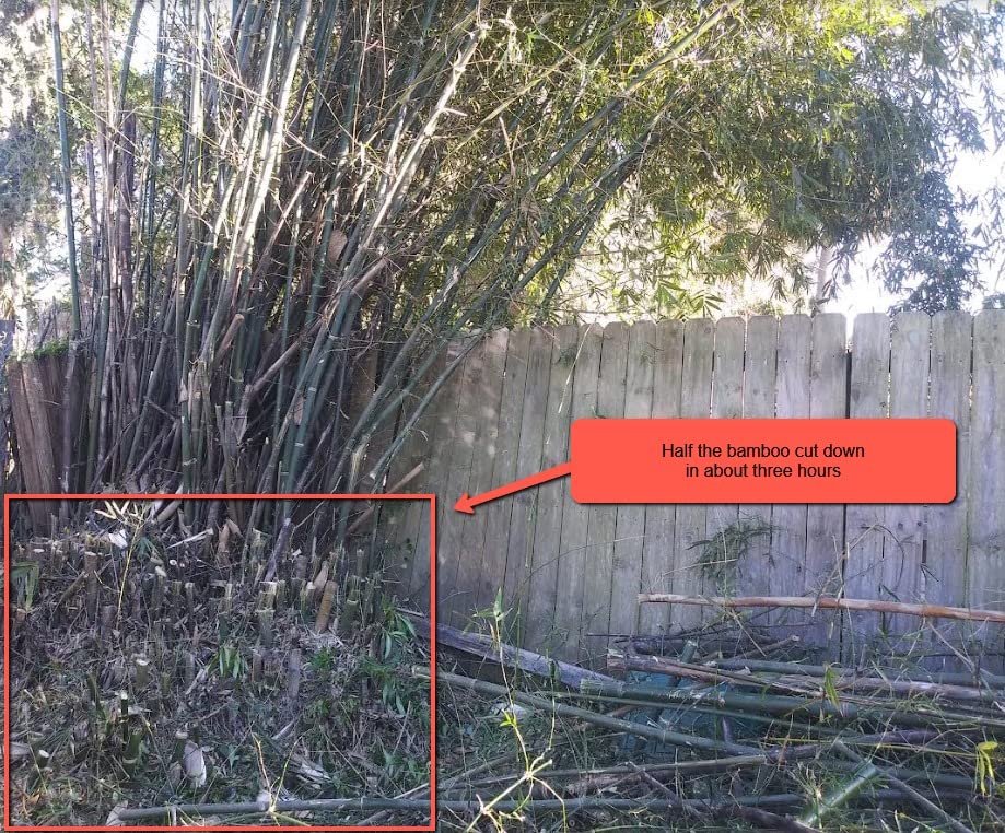 BLACK+DECKER Lopper Chain Saw, 4.5-Amp Pruner, Loppers for Tree Trimming Heavy Duty (LP1000) customer photo 1