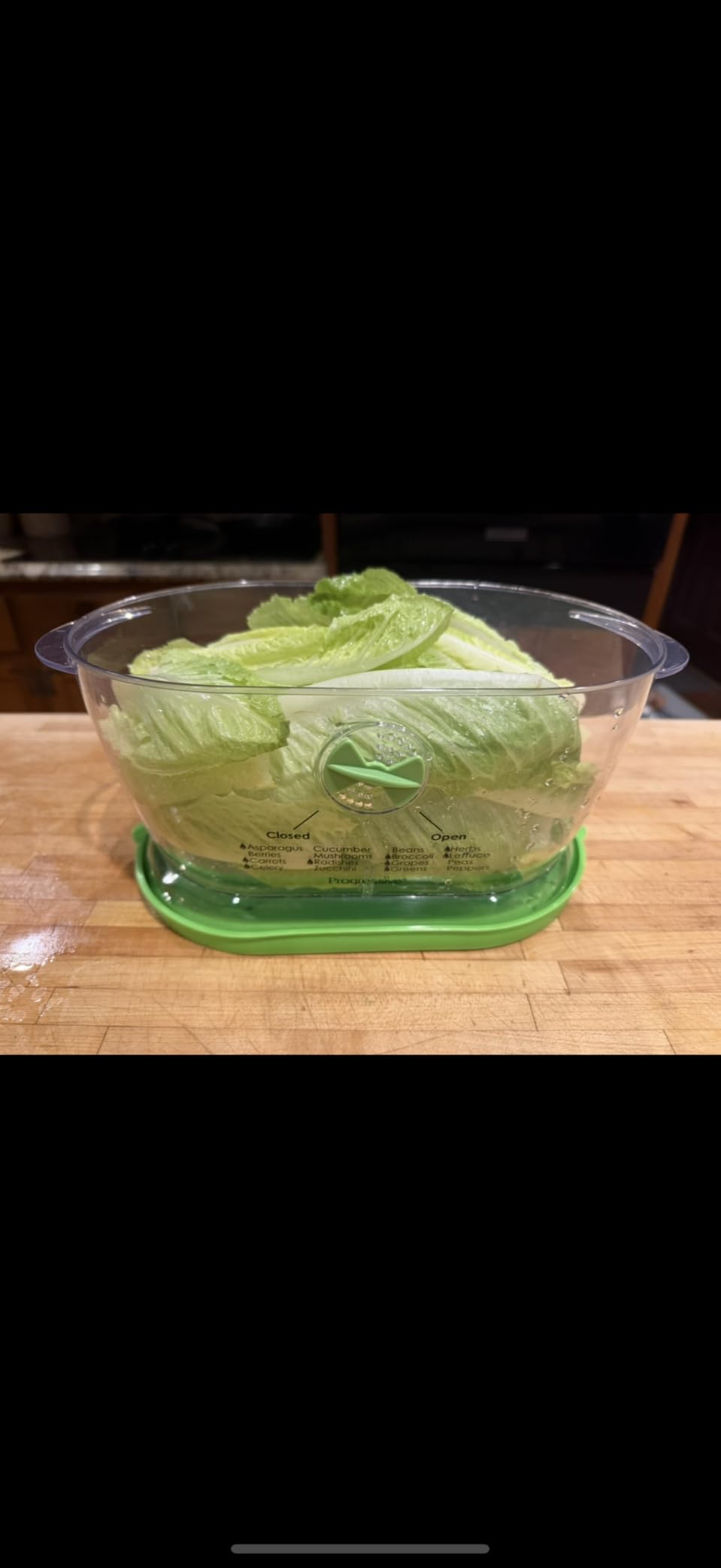 Prep Solutions by Progressive Lettuce Keeper Produce Storage Container, 4.7 Quarts, Green (LKS-06) customer photo 1