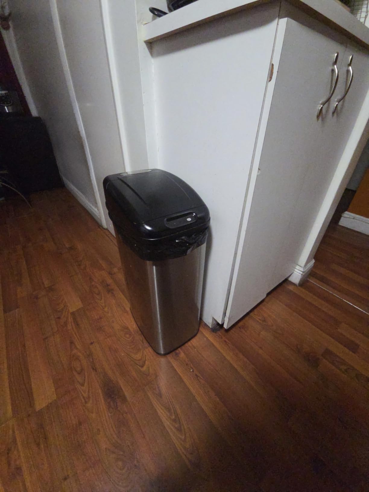 NINESTARS DZT-50-6 The Original Automatic Motion Sensor Trash Can, 13.2 Gal. / 50 L., Stainless Steel customer photo 1