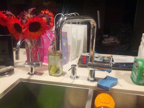 InSinkErator F-H3300SN Modern Instant Hot Water Dispenser, Satin Nickel customer photo 1