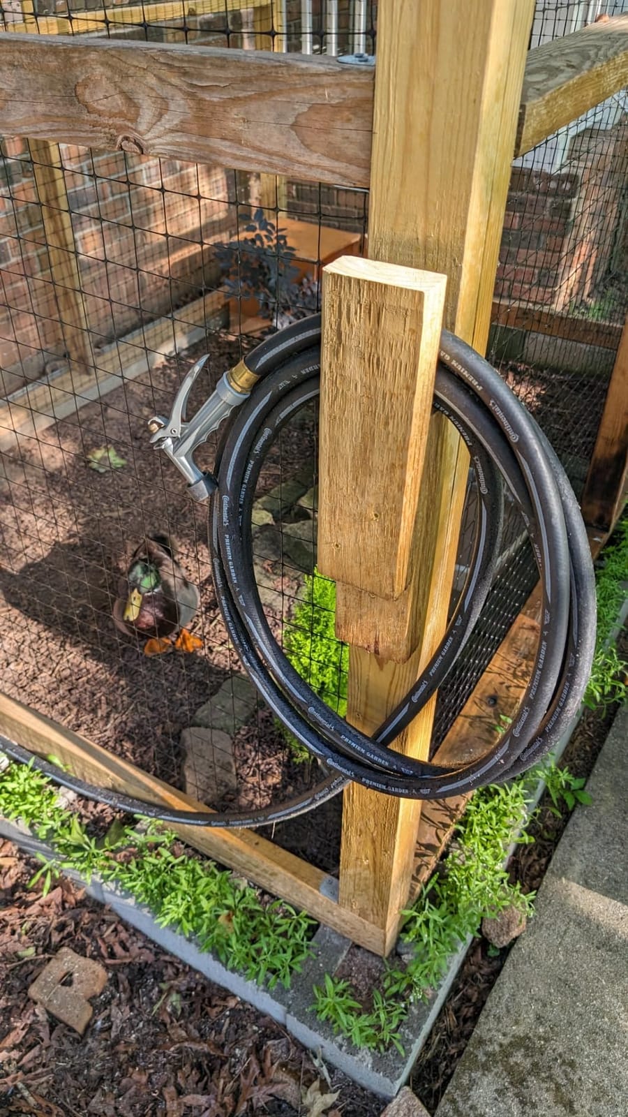 Continental Premium Garden Red Heavy Duty Hot Water Garden Hose, 5/8in Inside Diameter x 50ft Length, Male x Female Garden Hose Thread customer photo 2