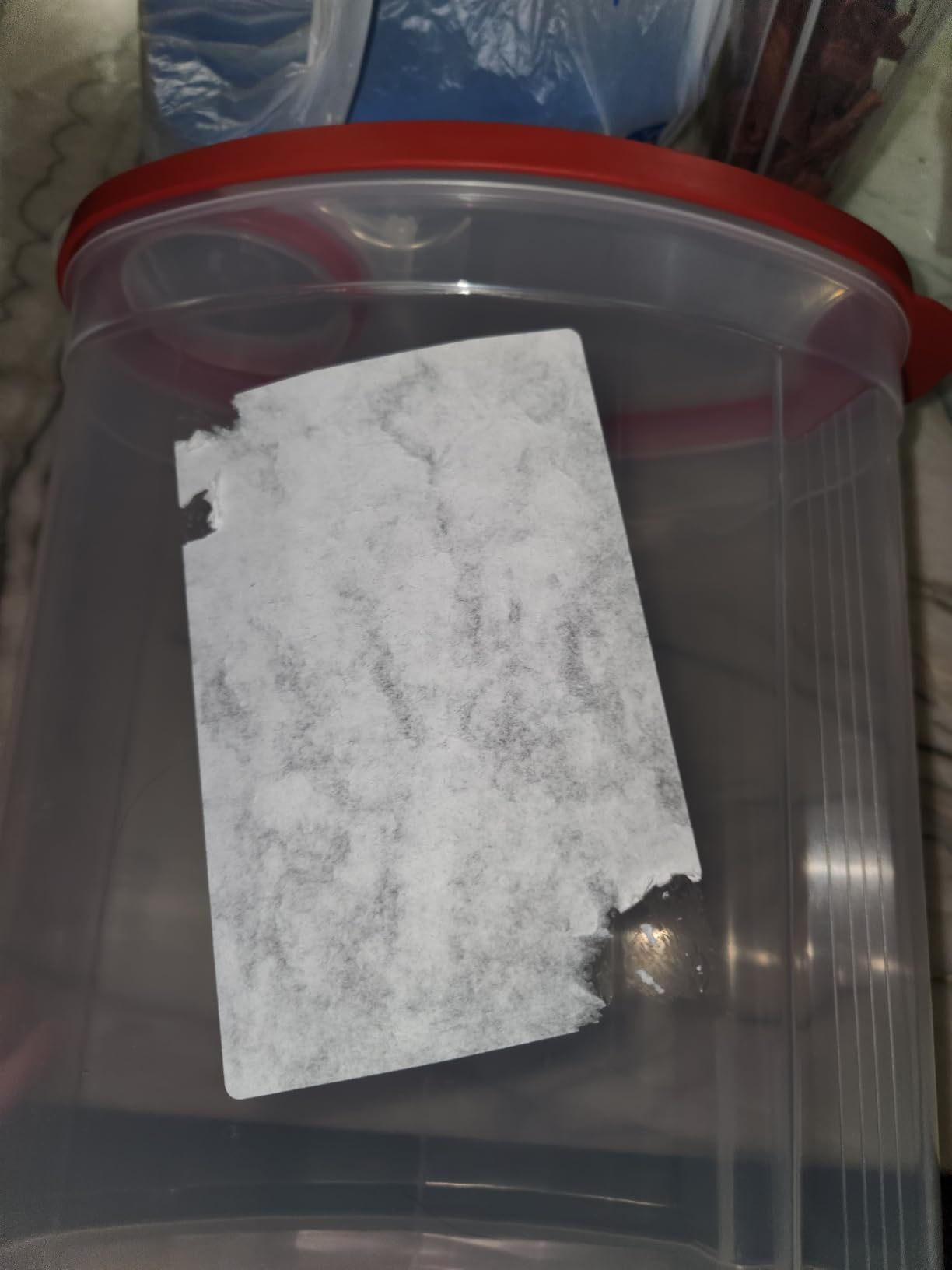 Rubbermaid Flex and Seal Cereal Keeper, 1.5 Gallon, BPA-Free, Clear with Red Lid, Airtight customer photo 1