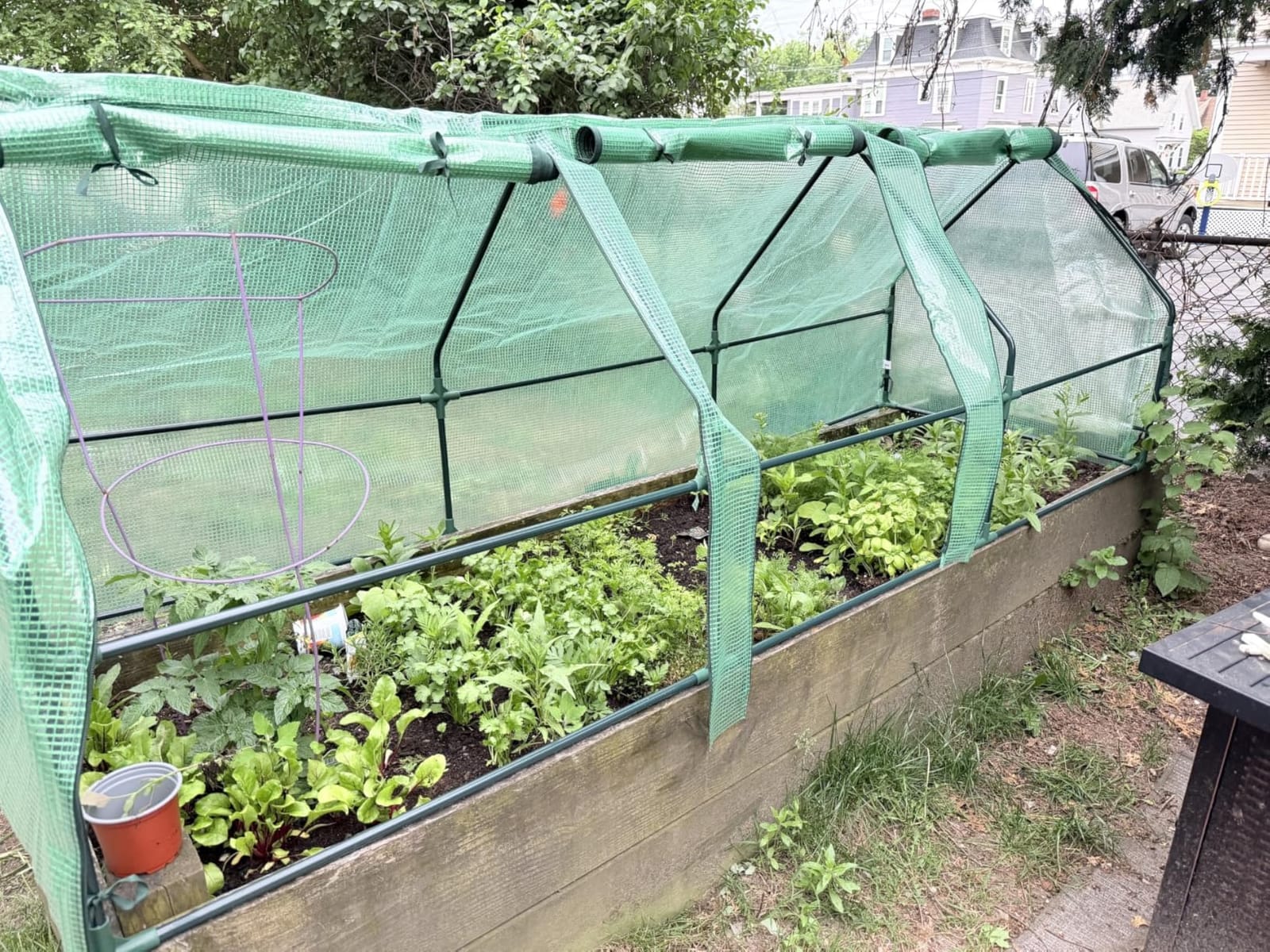 Outsunny 9' x 3' x 3' Mini Greenhouse Portable with Zippered Doors Green customer photo 1