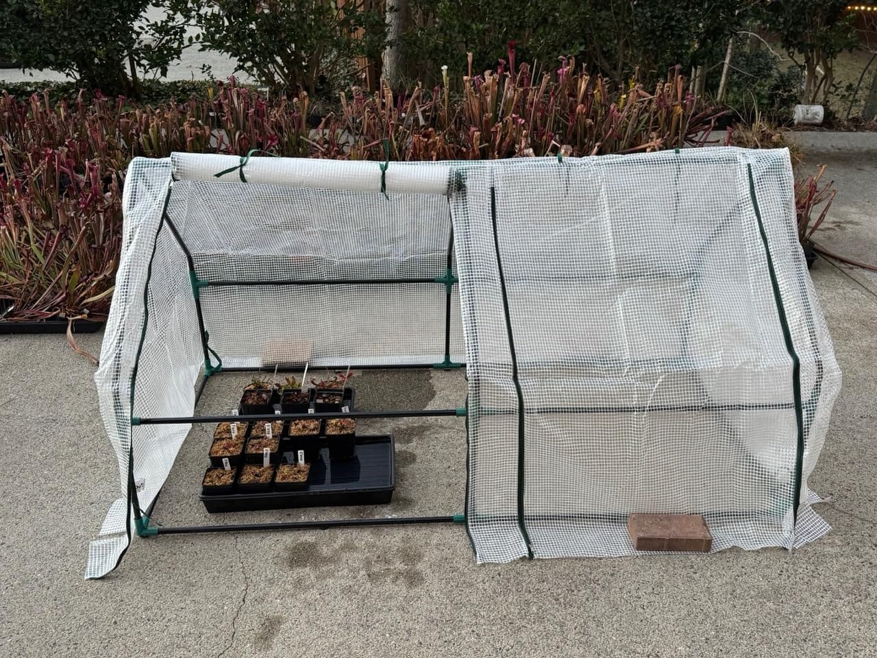 Outsunny 9' x 3' x 3' Mini Greenhouse Portable with Zippered Doors Green customer photo 2