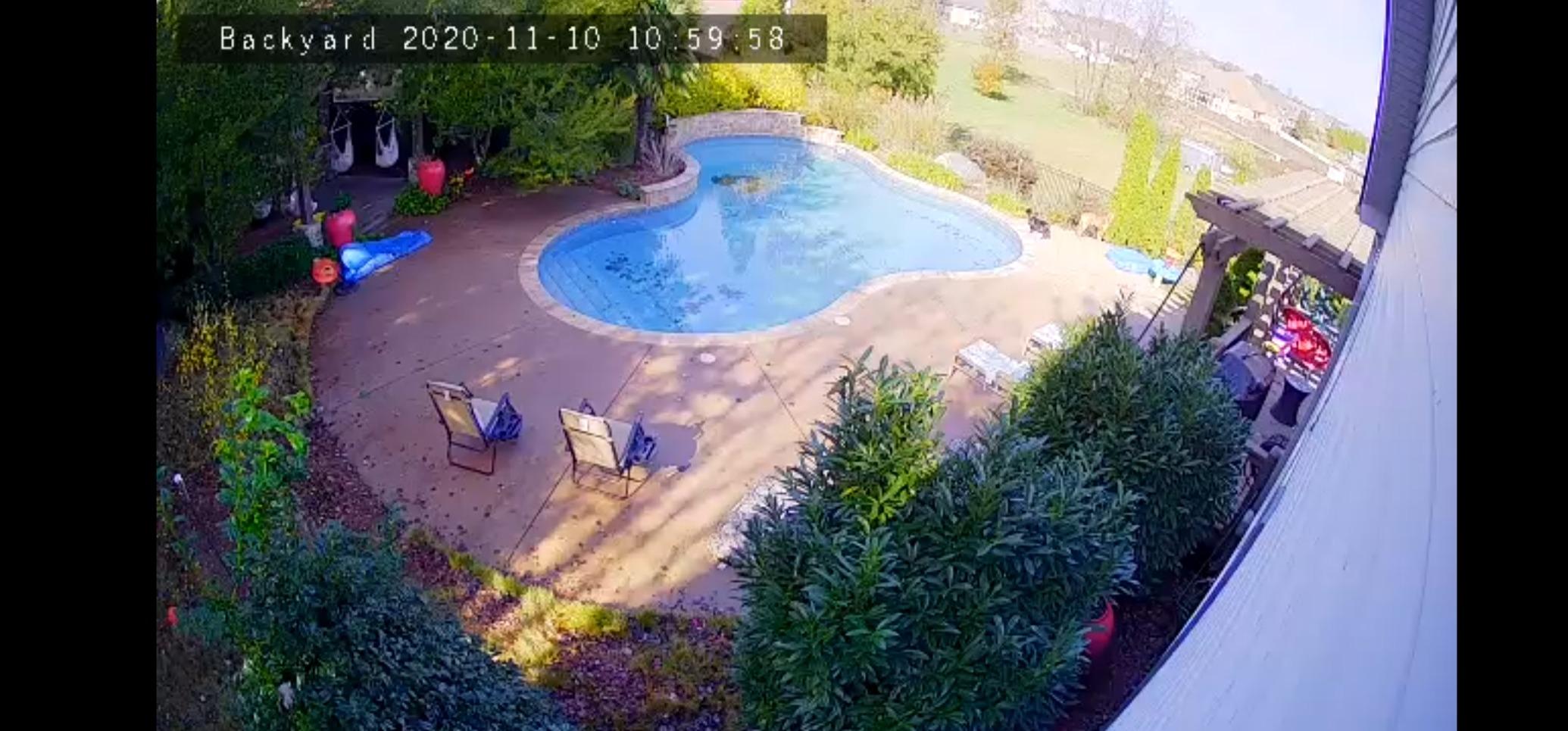 POOL BLASTER Leaf Vac Cordless Hoseless Pool Leaf Vacuum & Skimmer, Battery-Powered Swimming Pool Leaf Catcher with Heavy Duty Mesh Bag, for Inground and Above Ground Pools, by Water Tech customer photo 1