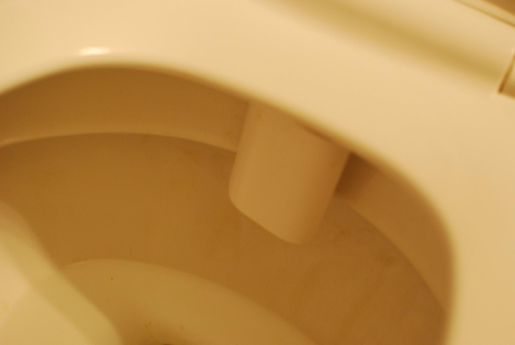 LUXE Bidet NEO 120 - Bidet Attachment for Toilet Seat, White customer photo 2