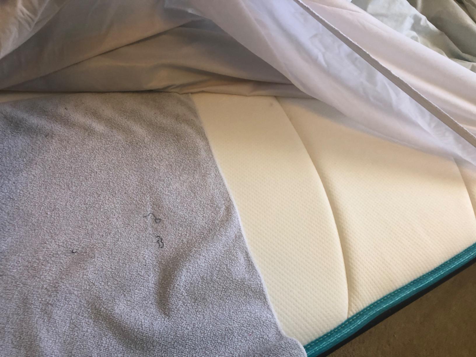 Linenspa Waterproof Mattress Protector — Breathable, Noiseless, Full customer photo 2