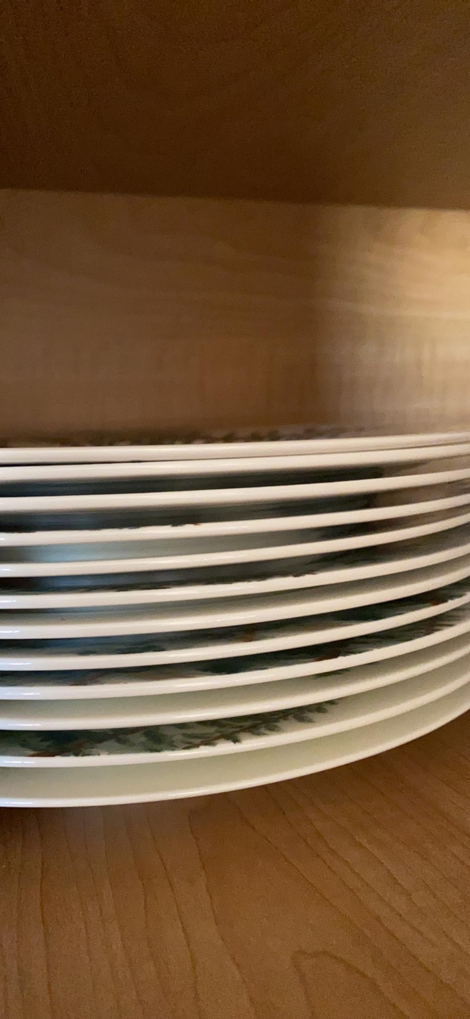 Mikasa Watercolor Forest Bone China Lightweight Chip Resistant 16 Piece Dinnerware Set, Service for 4, White customer photo 1