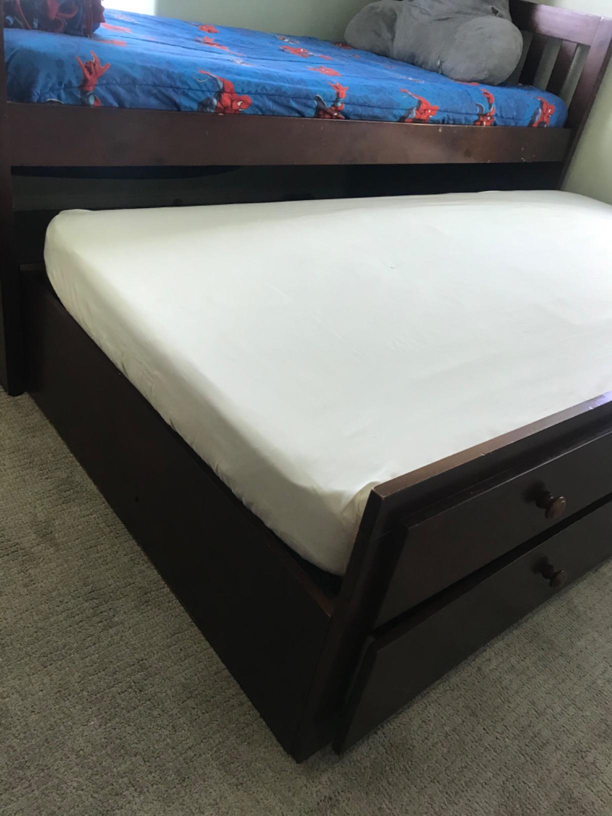 Queen (13-16 in. Deep) SureGuard Mattress Encasement - 100% Waterproof, Bed Bug Proof, Hypoallergenic - Premium Zippered Six-Sided Cover customer photo 1