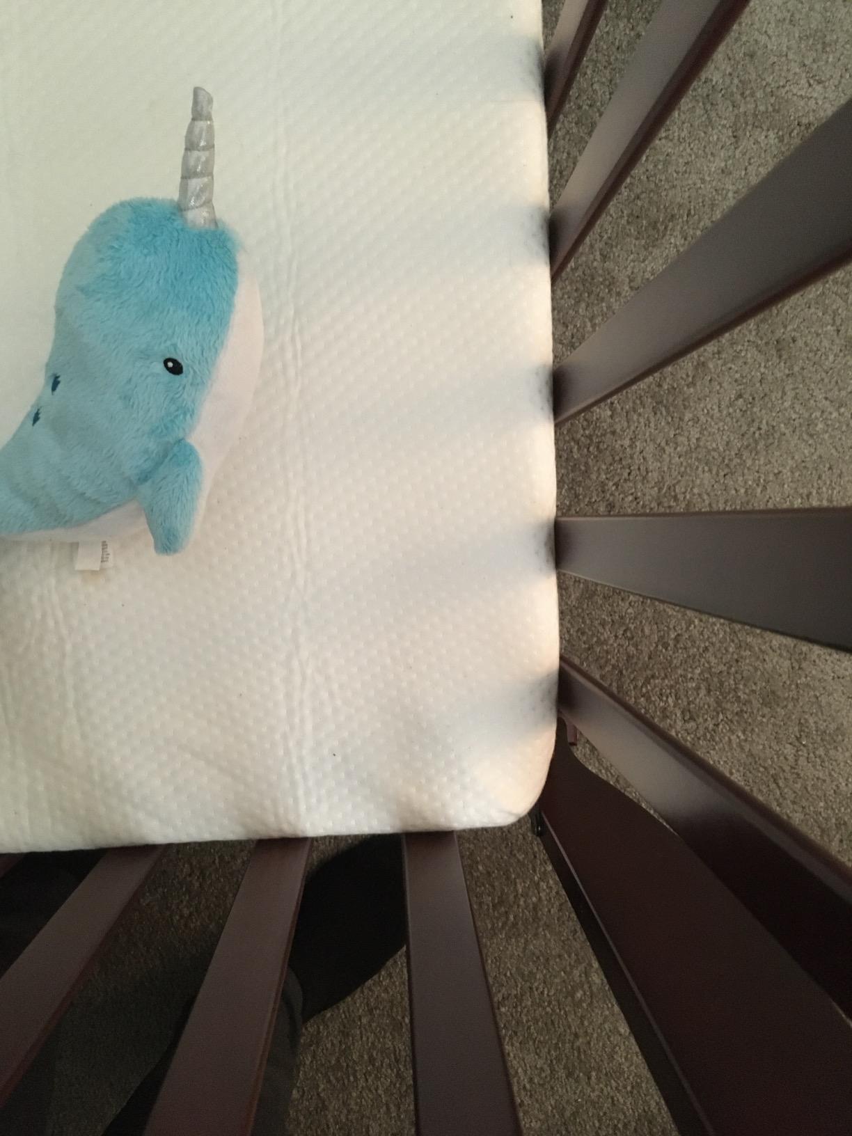 Graco Premium Foam Baby Crib & Toddler Bed Mattress customer photo 1