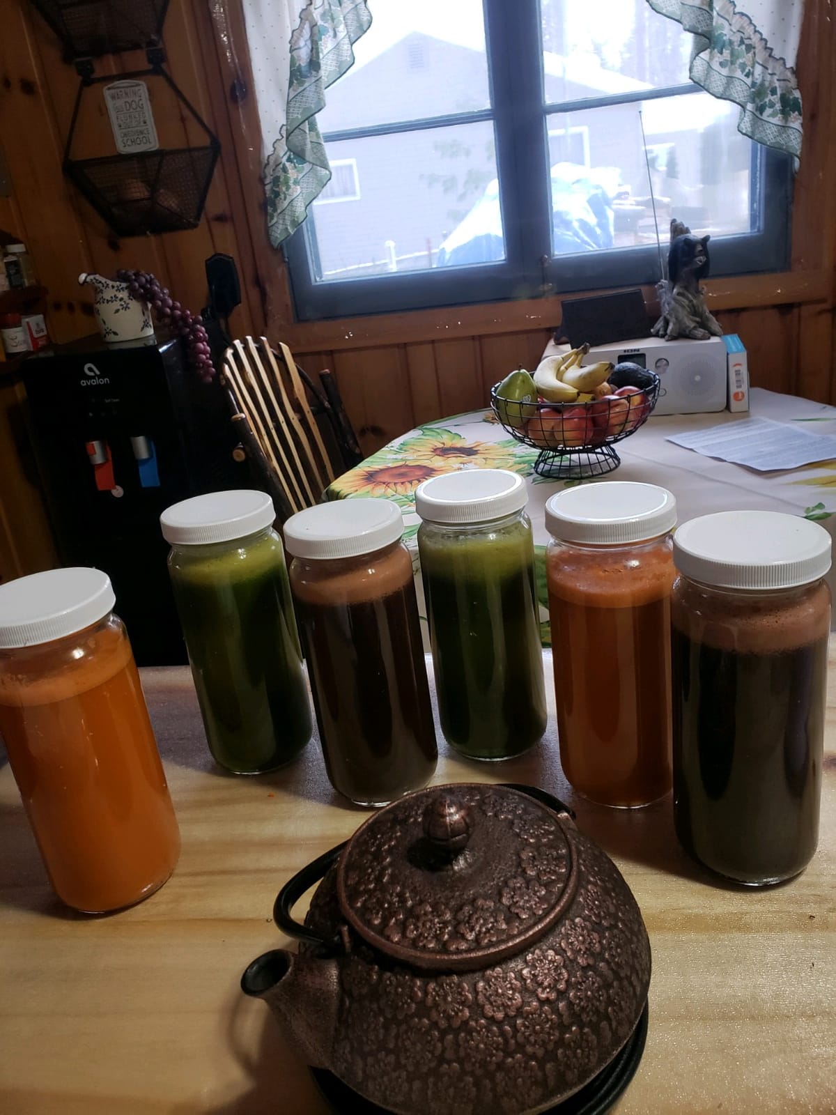 Tribest Greenstar GSE-5010 Elite Twin Gear Cold Press Slow Masticating Juicer (Black) customer photo 2