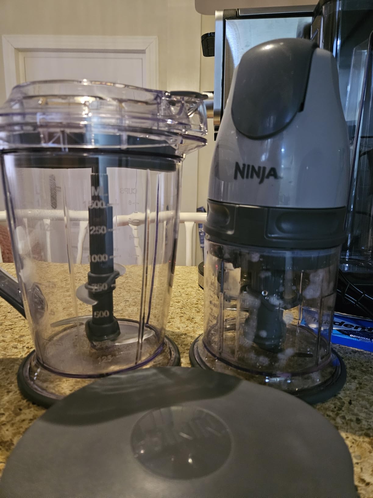 Ninja Master Prep Food and Beverage Blender, Gray customer photo 1
