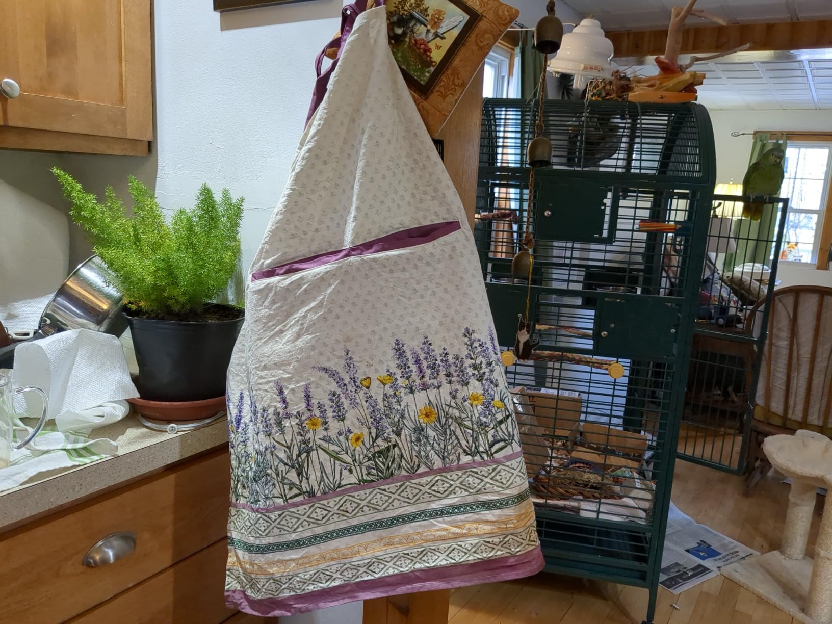 Maison d' Hermine Aprons for women with Pocket 100% Cotton (27.50
