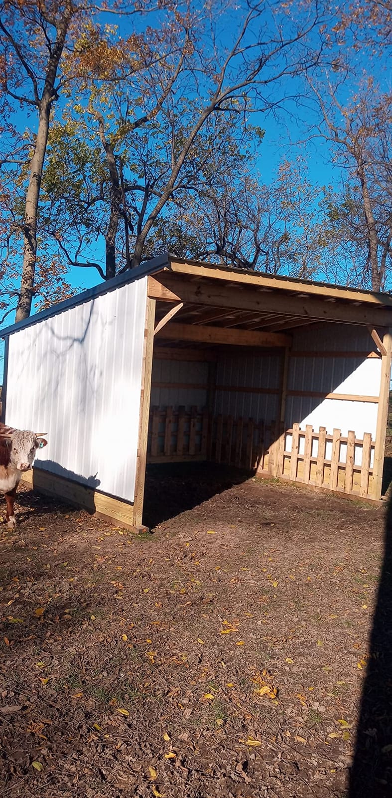 Little Giant Velocity, Aluminum Ladder, 26 ft Reach, 15426-001 customer photo 2