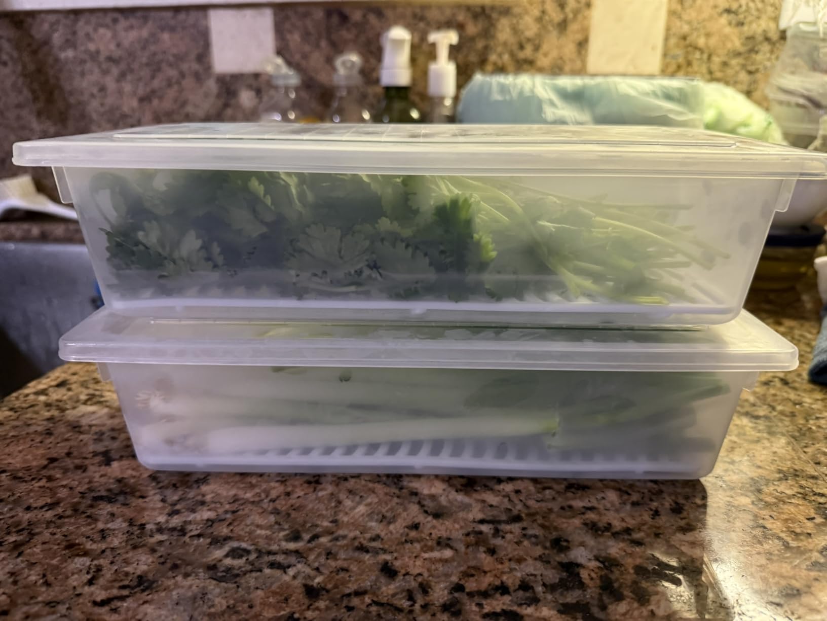 3 Pack 1.5L Fruit Storage Containers for Fridge with Removable Drain Tray customer photo 2