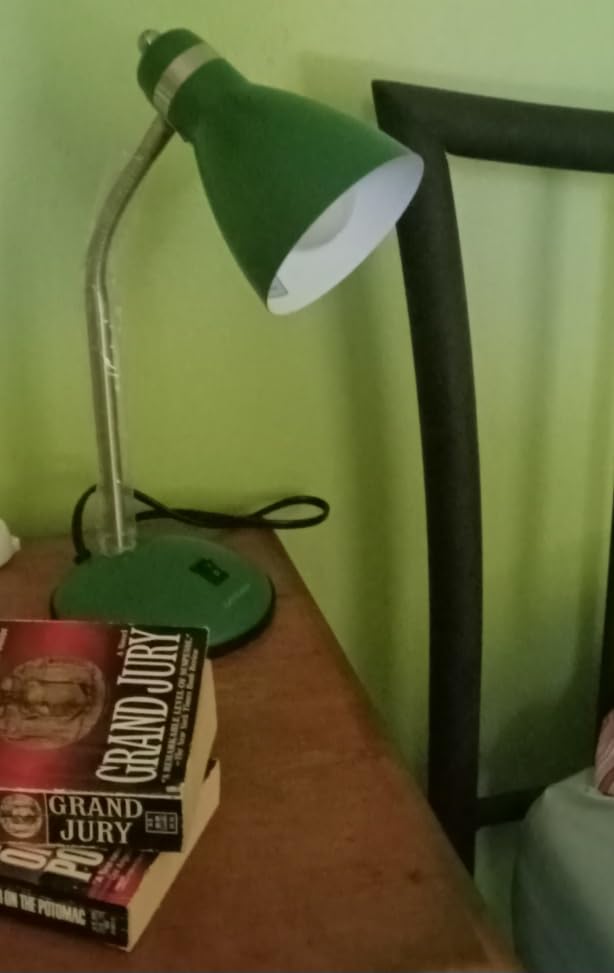 LEPOWER Metal Desk Lamp, Adjustable GooseNeck Reading Light for Bedroom customer photo 2