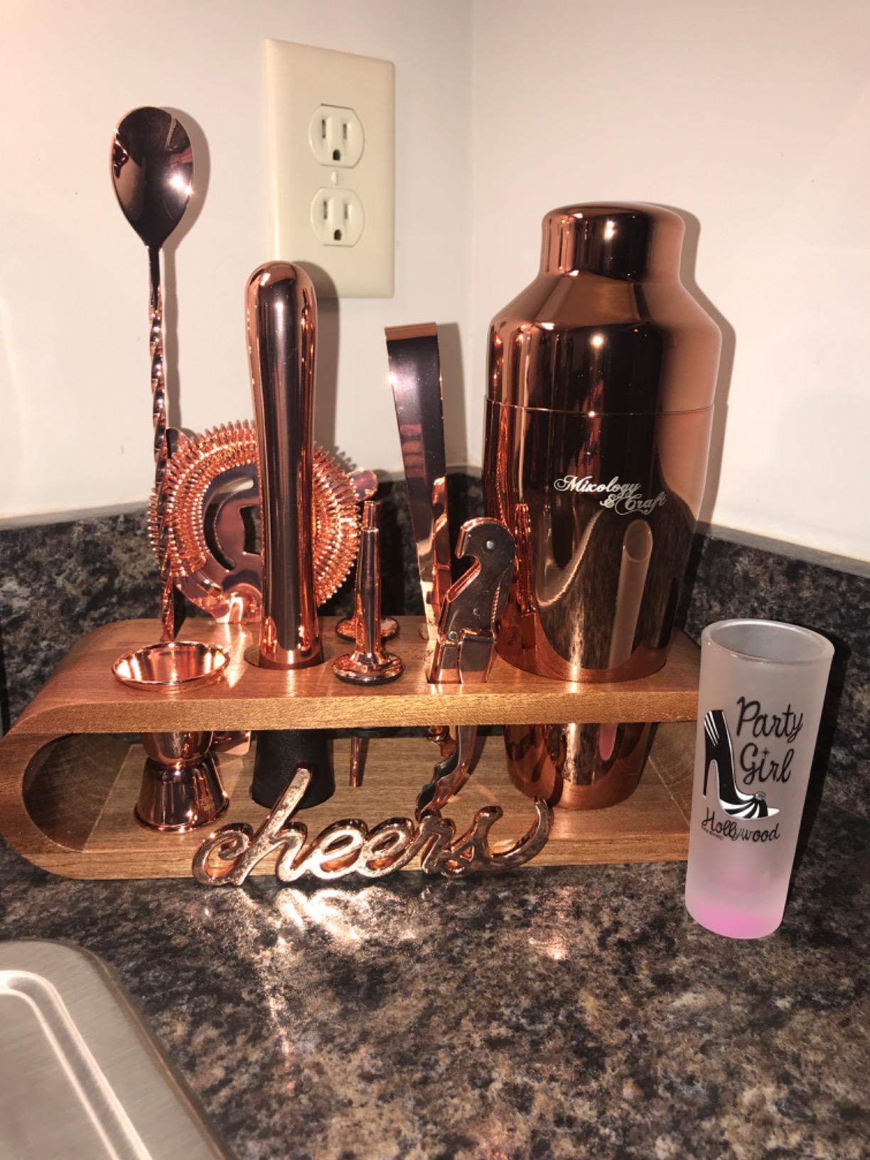 Mixology Cocktail Shaker Set - 10-Piece Cocktail Making Set - Home Bartender Kit in Bamboo Stand with Spoon, Boston Shaker, Other Tools for Drink Mixing, Martini, Mocktail - Gift Set (Silver) customer photo 1