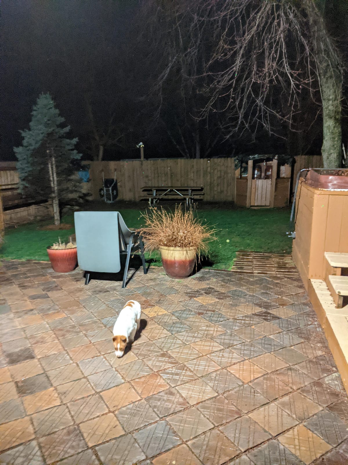 Ring Floodlight Wired — Motion-activated floodlight, bright LEDs, works with Amazon Sidewalk, White customer photo 2