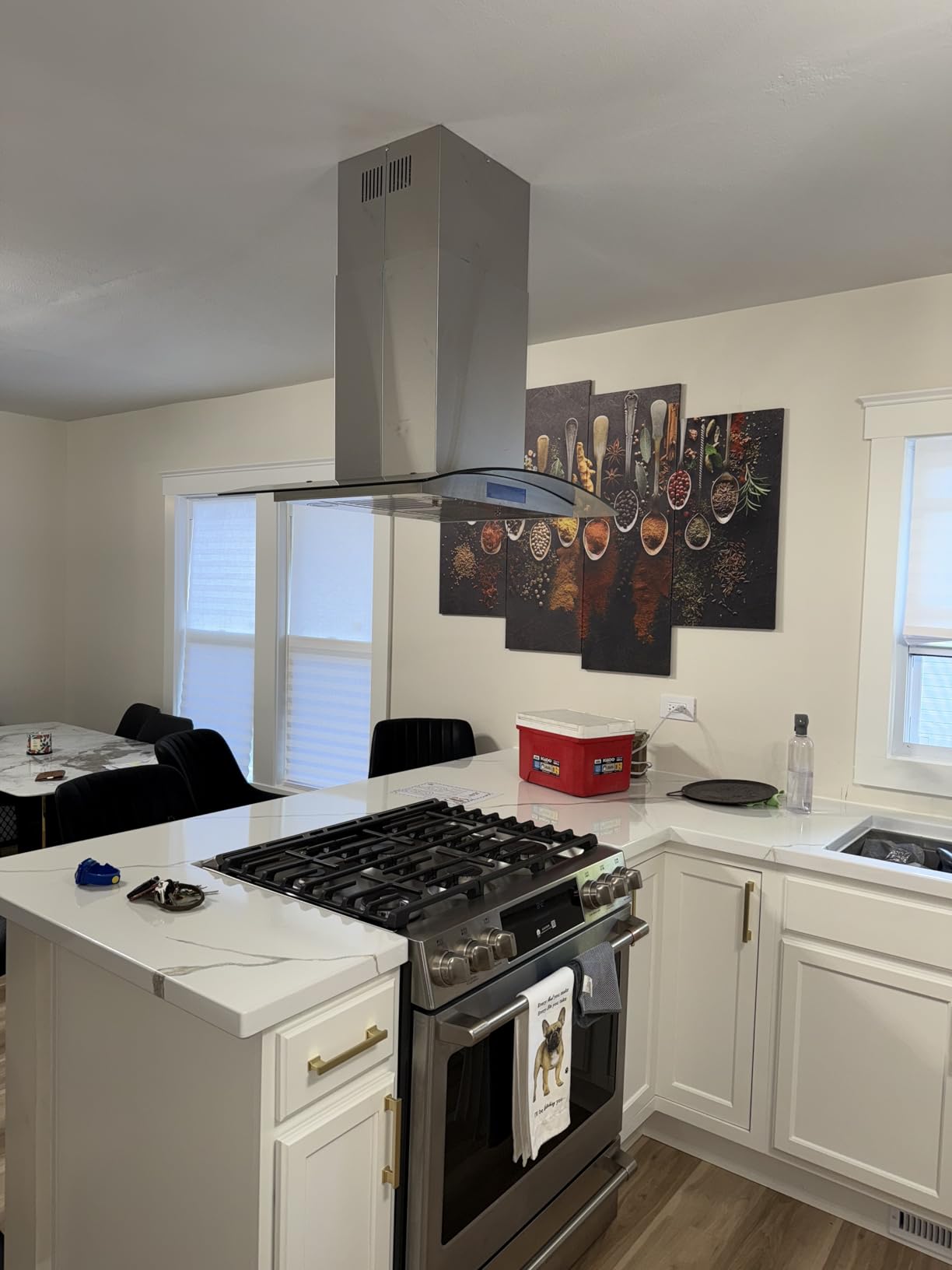 30 in. Lumin Coll 380 CFM Ducted Island Range Hood, LED, Stainless Steel customer photo 2
