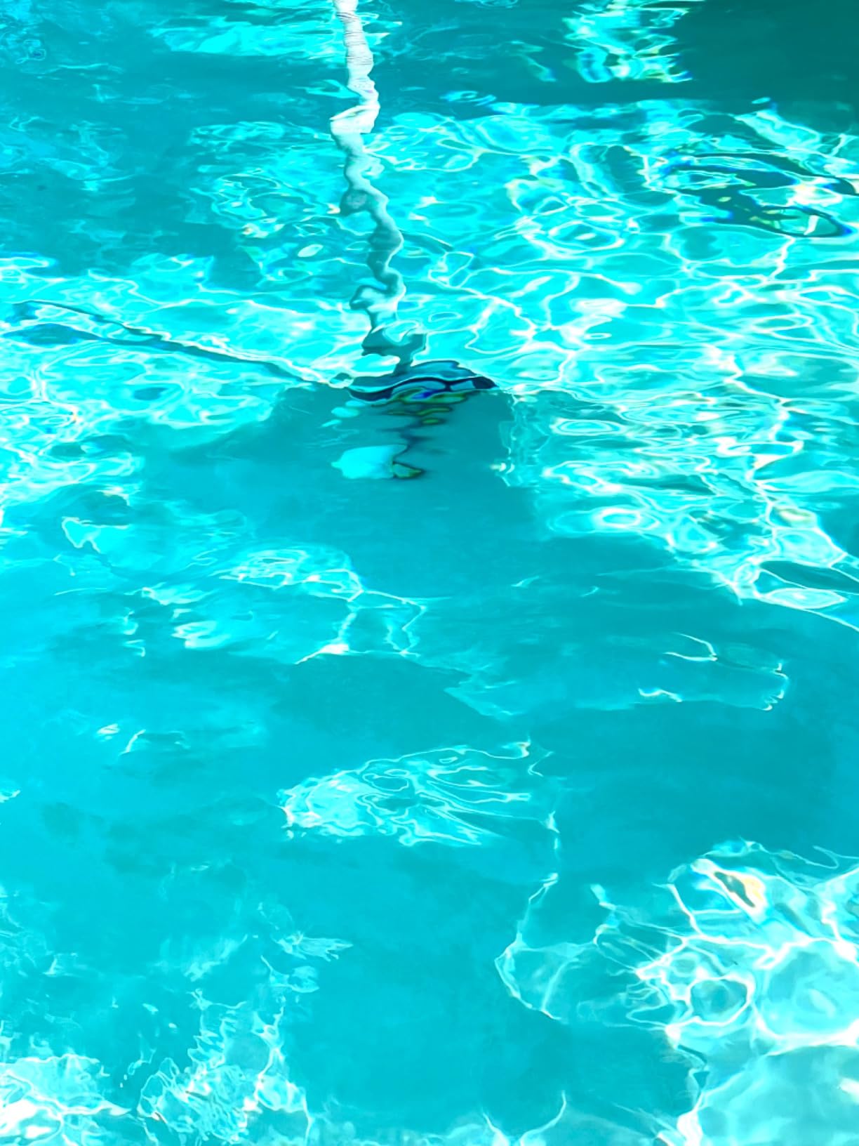Hayward PoolVac XL Suction Pool Cleaner for Inground Pools up to 20 x 40 ft customer photo 2