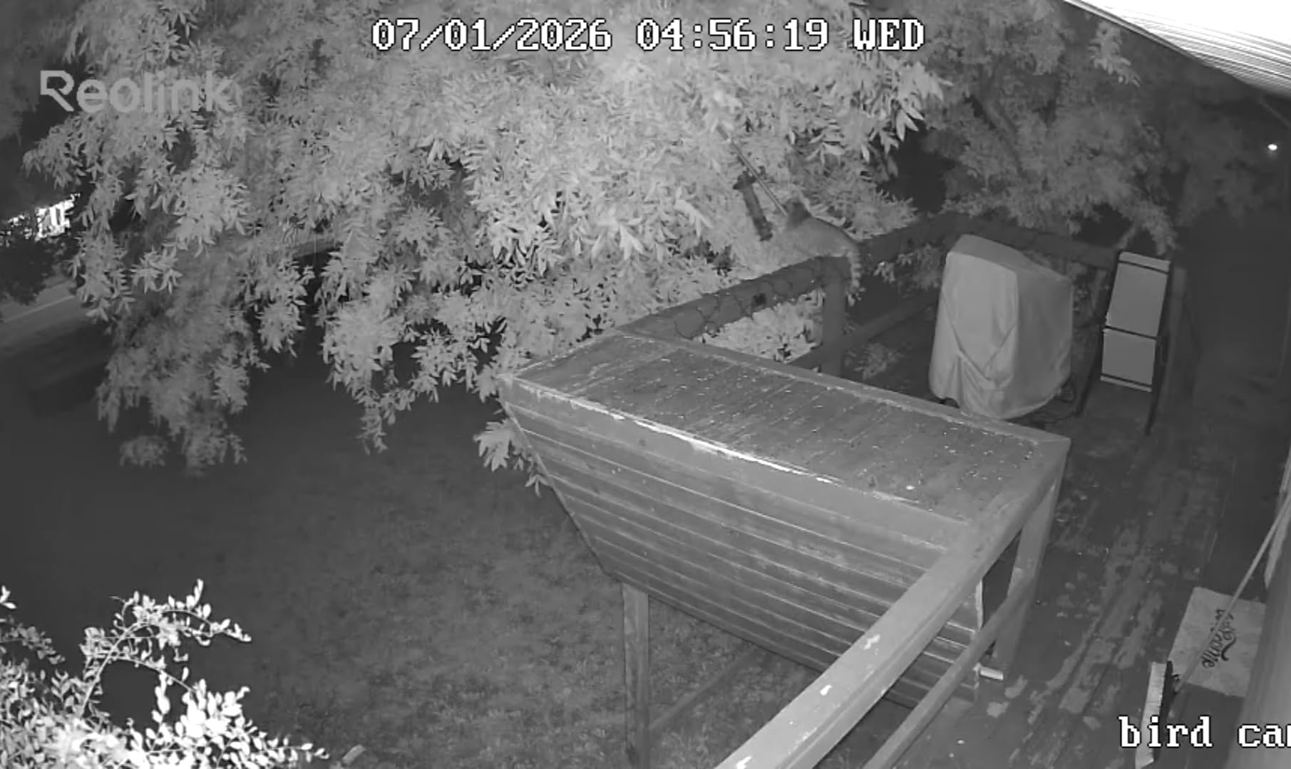 REOLINK Solar Security Cameras Wireless Outdoor 360° Coverage Argus PT customer photo 2