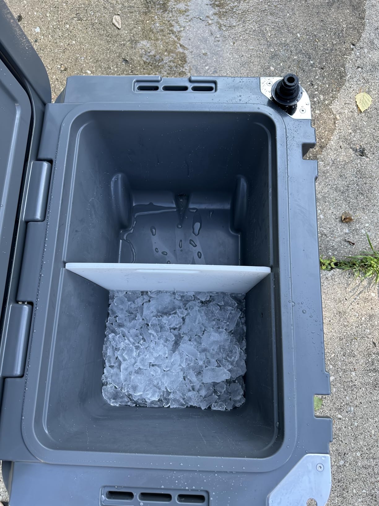 Blue Coolers Ice Vault – 60 Quart Roto-Molded Ice Cooler with Wheels | Large Ice Chest Holds Ice up to 10 Days | customer photo 2