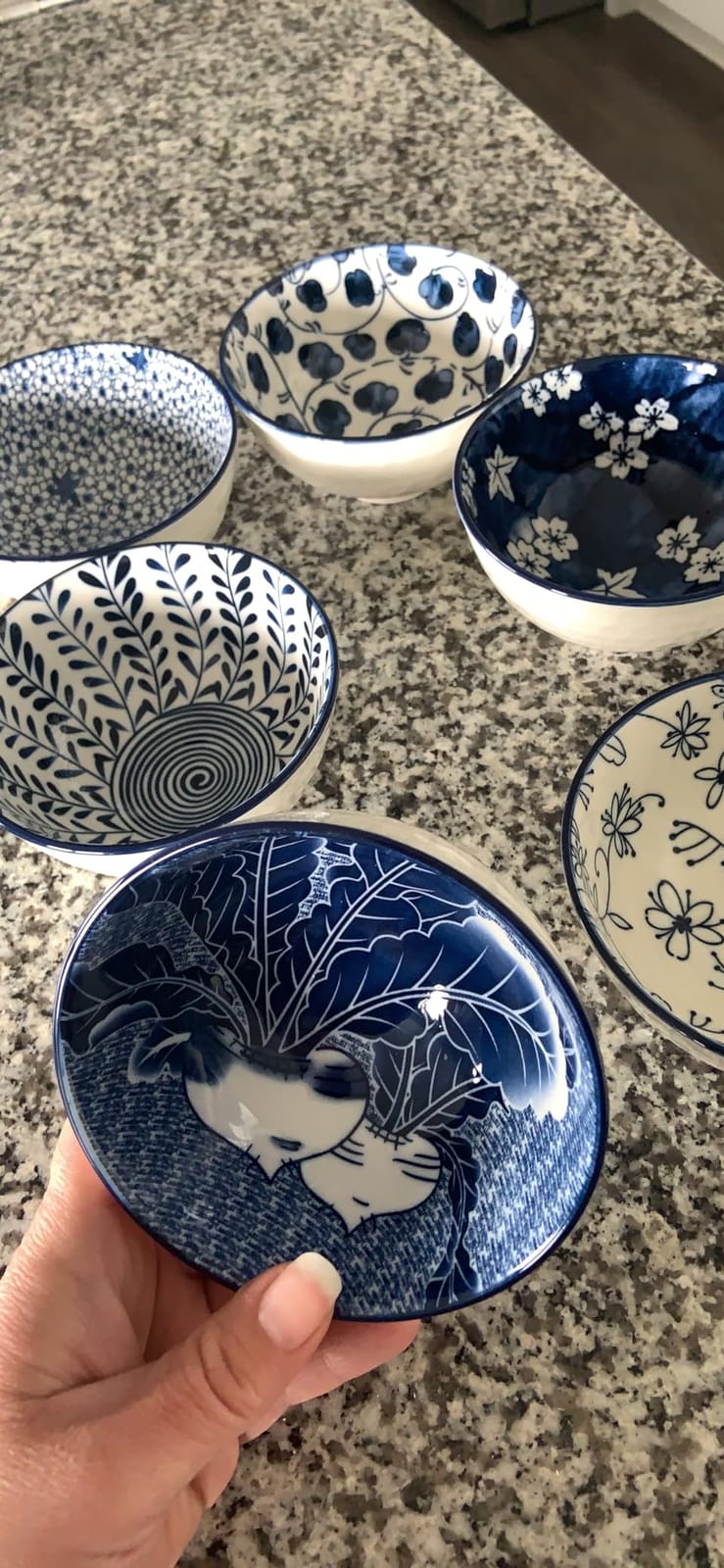 Japanese Style Ceramic Rice Bowls,10 Ounces Small Salad,Soup,Ice Cream Snack Dip Bowl Set of 6,Blue and White Floral Microwave Safe for Kitchen (4.5 inch) customer photo 2