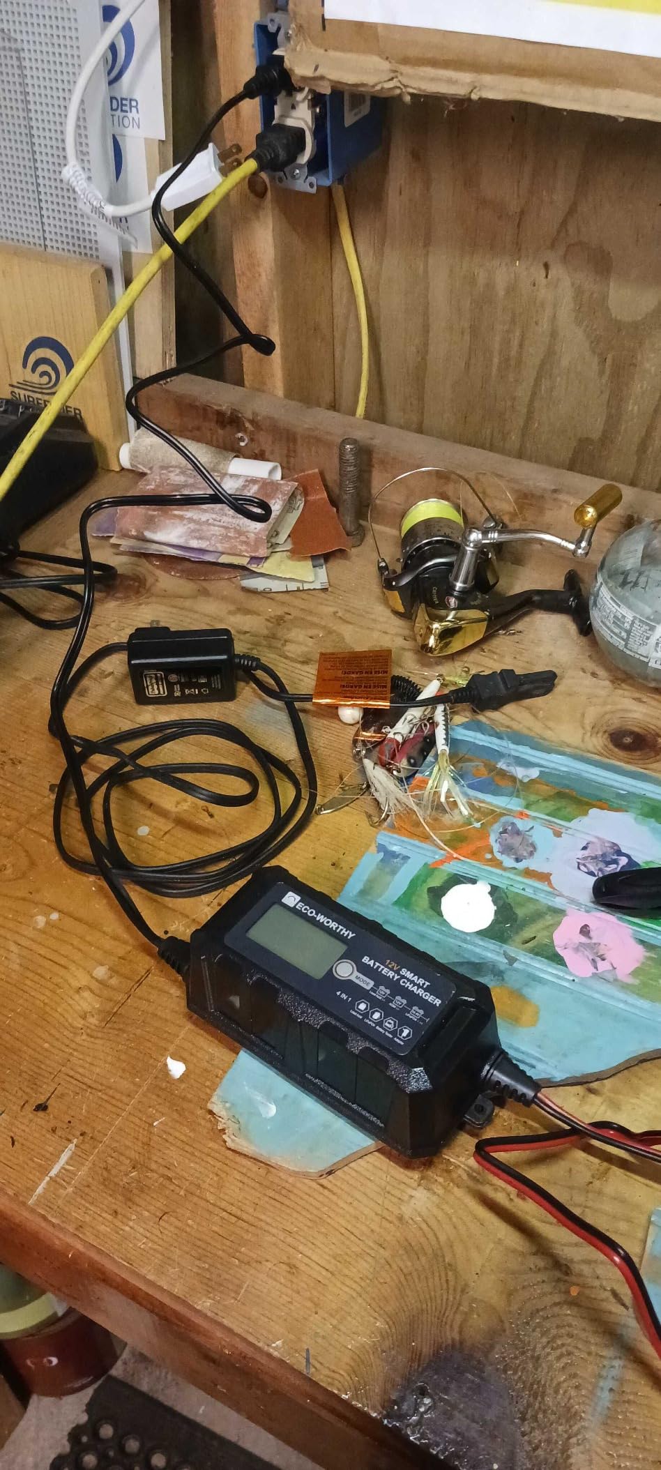 ECO-WORTHY 12V 5A Battery Charger for Lead Acid, Lithium (LiFePO4) Battery customer photo 1