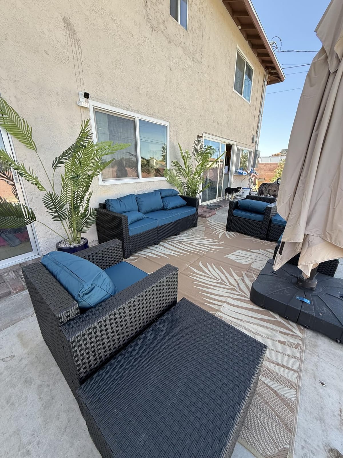 Rattaner Patio Wicker Furniture Set 6 Pieces Outdoor HDPE Wicker Conversation Couch Sectional Chair Sofa Set with Grey Cushions customer photo 1